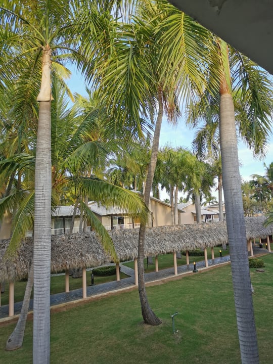 Ausblick Grand Palladium Punta Cana Resort & Spa