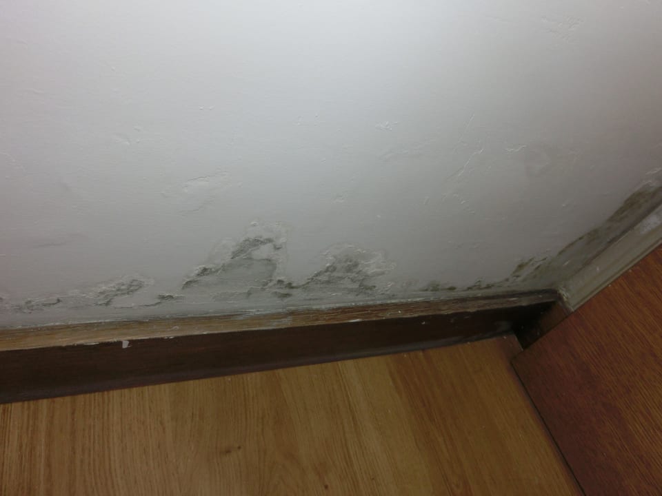 Feuchtigkeitsflecken 3116 oder ... Adalya Ocean Deluxe