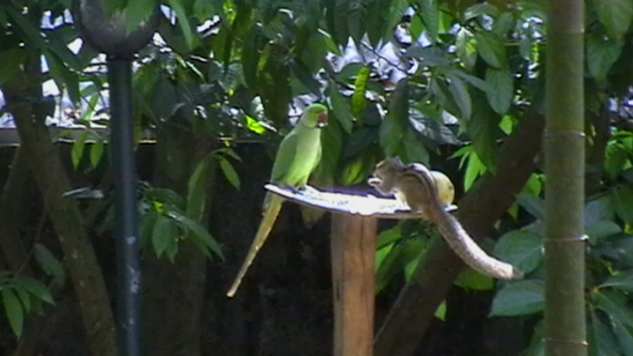 Außenansicht Sunshine Guesthouse