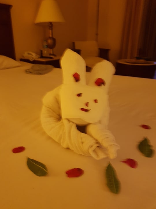 Handtuchkunst Jaz Solaya