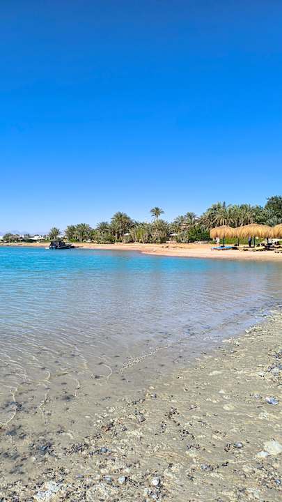 Strand Club Paradisio El Gouna, Red Sea