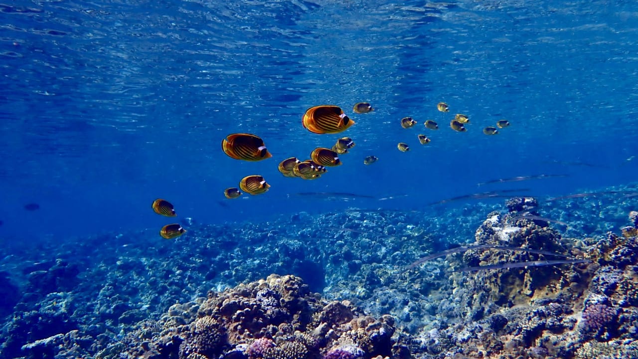 Sport & Freizeit Three Corners Happy Life Beach Resort