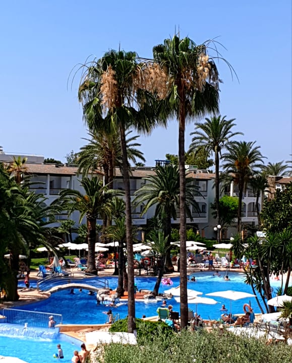 Pool Alcudia Garden Aparthotel