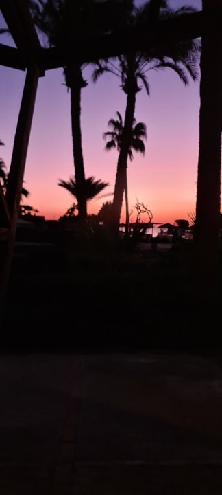 Ausblick Eagles Paradise Abu Soma