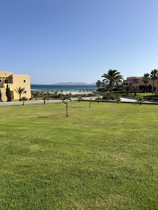 Gartenanlage Hotel Horizon Beach Resort