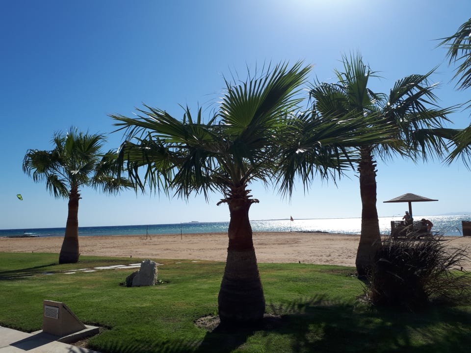 Strand Shams Prestige Abu Soma-Adults Only