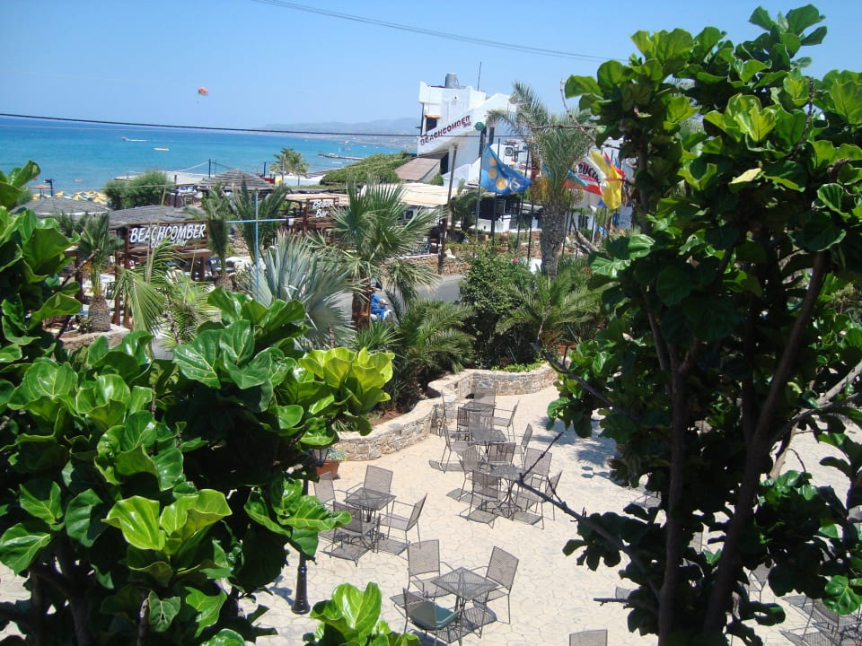 Vor dem Eingang Cactus Beach