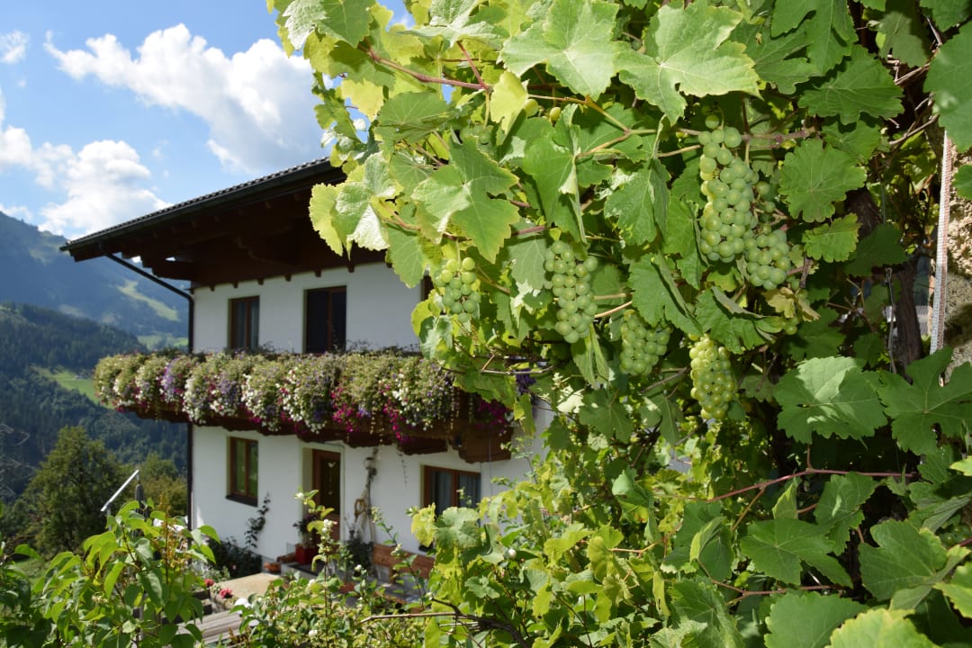 Außenansicht Bio Bauernhof Oberbenk