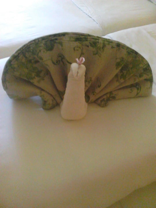 Nett Ghazala Gardens