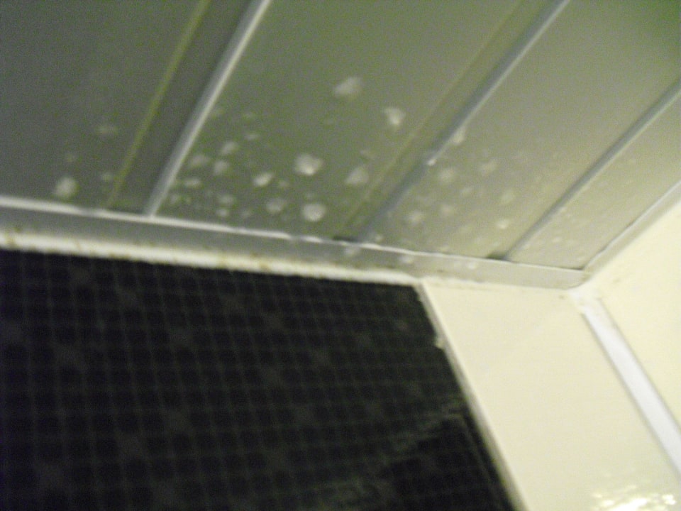 Schimmel Badezimmer Acar Hotel