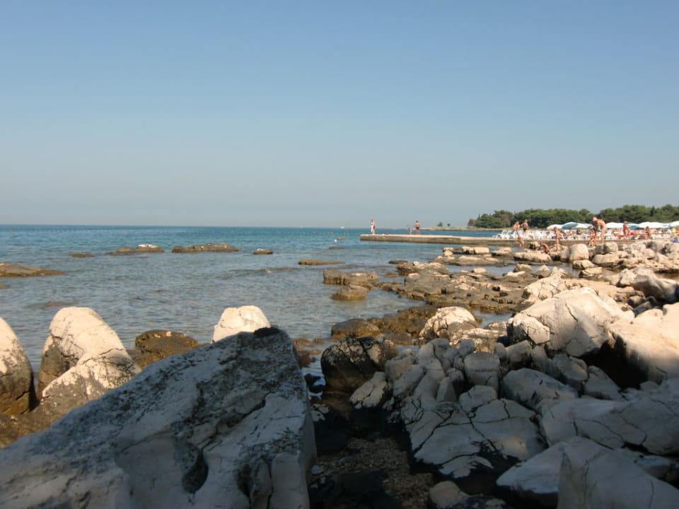 Strand mit Steinen Hotel Aurora Plava Laguna