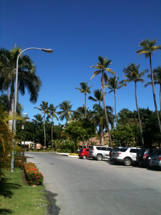 Sonne Grand Palladium Select Bávaro Resort & Spa