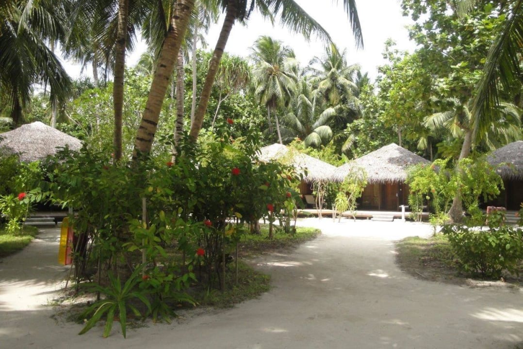 Gartenvillen Kuramathi Maldives