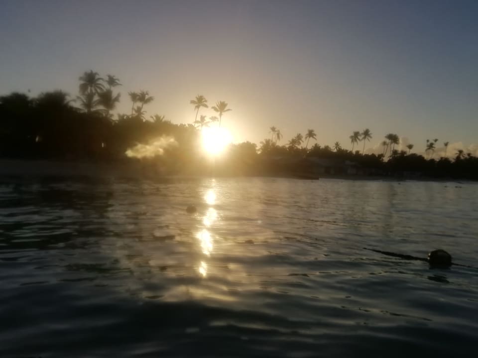 Strand Hotel Viva Dominicus Beach by Wyndham - All Inclusive Resort