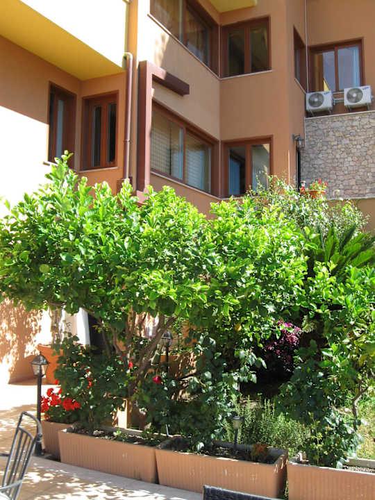 Frühstücksterrasse B&B Villa Barone