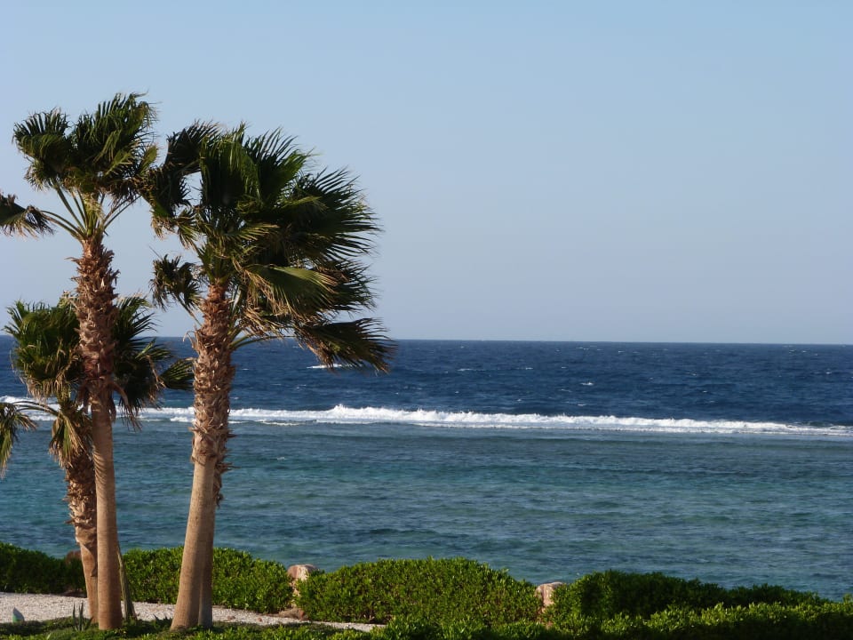 Auf das Riff Mövenpick Resort El Quseir