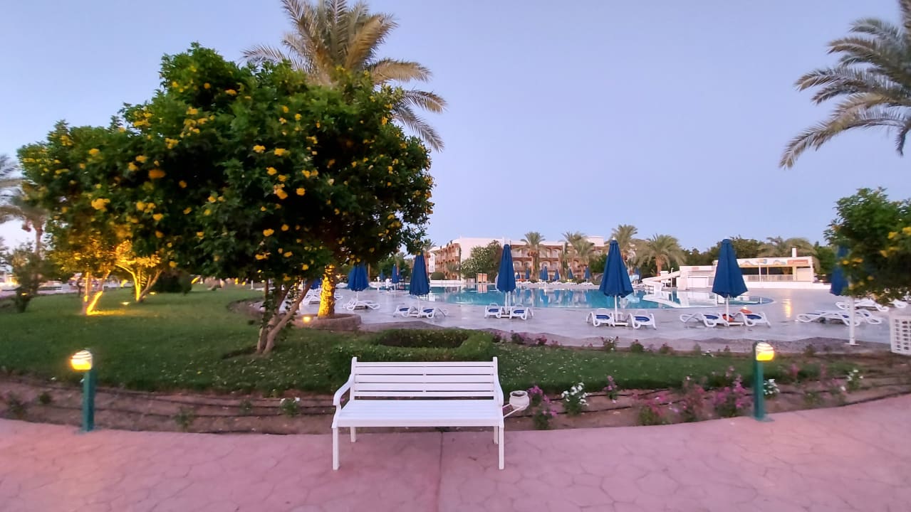 Gartenanlage Desert Rose