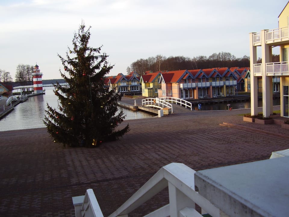 Blick vom Hotel Precise Resort Hafendorf Rheinsberg