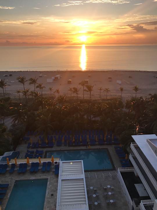 Ausblick Royal Palm South Beach Miami, a Tribute Portfolio Resort