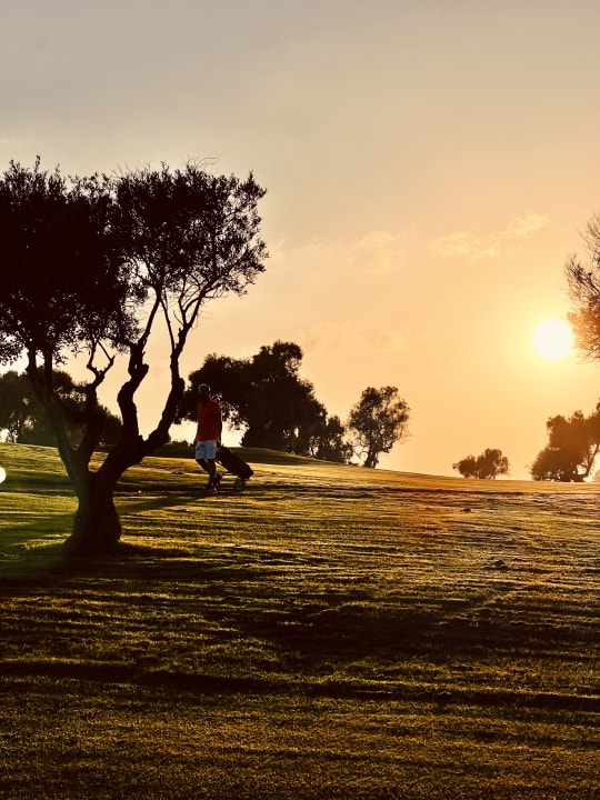 Ausblick ROBINSON QUINTA DA RIA