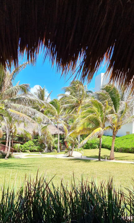 Gartenanlage Akumal Bay Beach & Wellness Resort