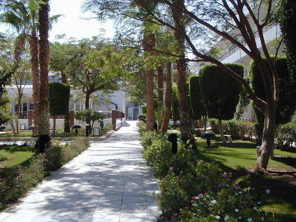 Im Garten The Grand Hotel Hurghada
