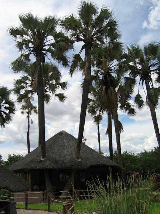 Aussenanlage Palmwag Lodge