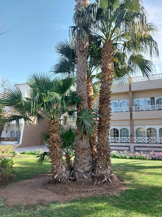 Gartenanlage The Grand Hotel Hurghada