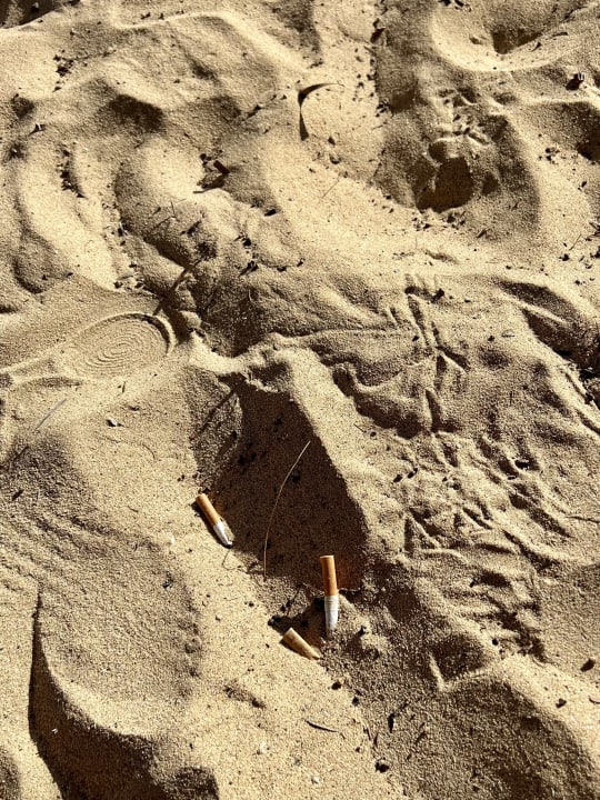 Strand SBH Costa Calma Beach Resort