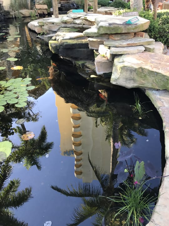 Gartenanlage Hotel LaPlaya Beach & Golf Resort