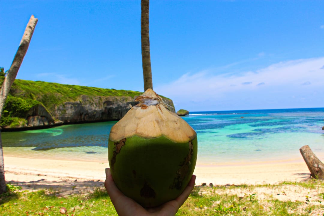 Kokosnuss  muss man probiert haben Wyndham Alltra Samana