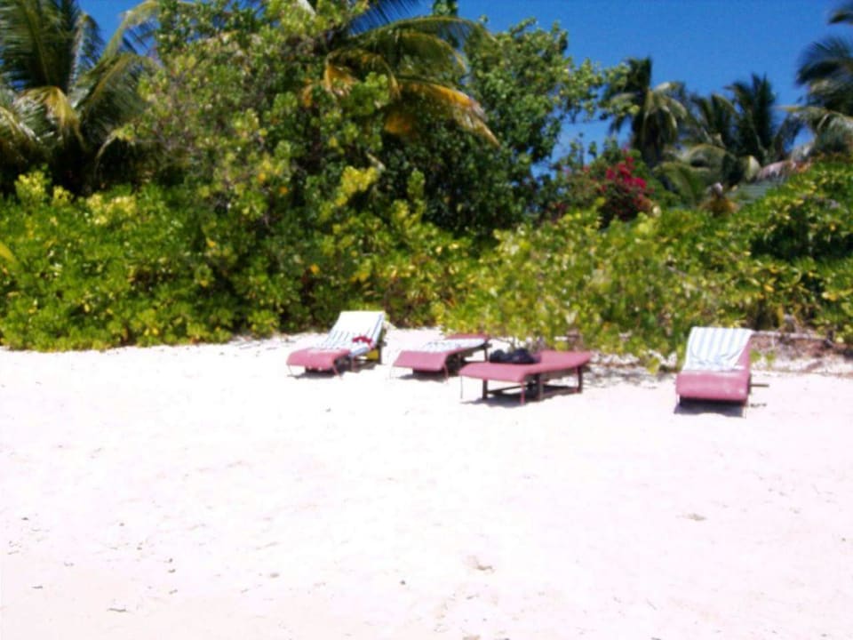 121-0 Strand,  kein Schaftten am Strand Vilamendhoo Island Resort & Spa