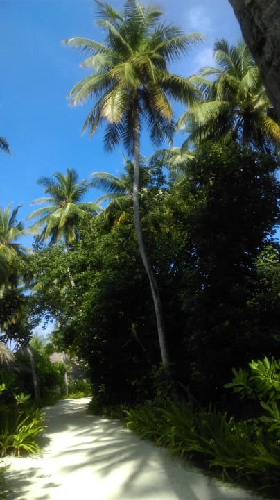 Gartenanlage Sun Siyam Vilu Reef