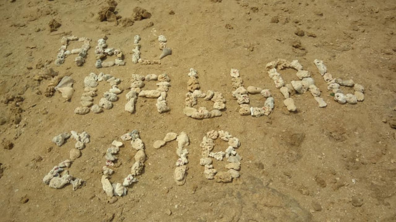 Abu Dabbab 2018 Malikia Resort Abu Dabbab