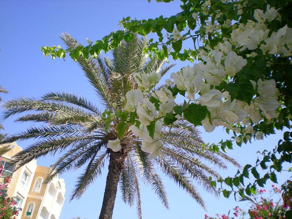 Garten Mahdia Beach & Aquapark