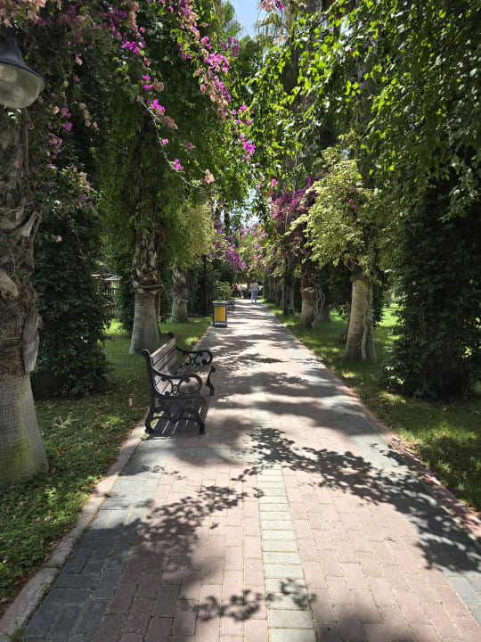 Gartenanlage Hotel Gardenia Beach