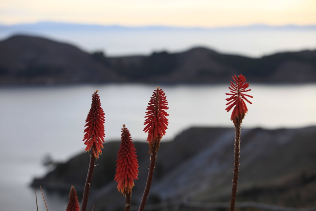 Garden Posada del Inca Eco-Lodge