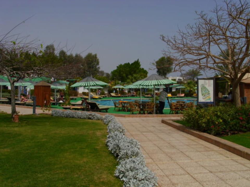 Pool/Gartenanlage Ghazala Beach