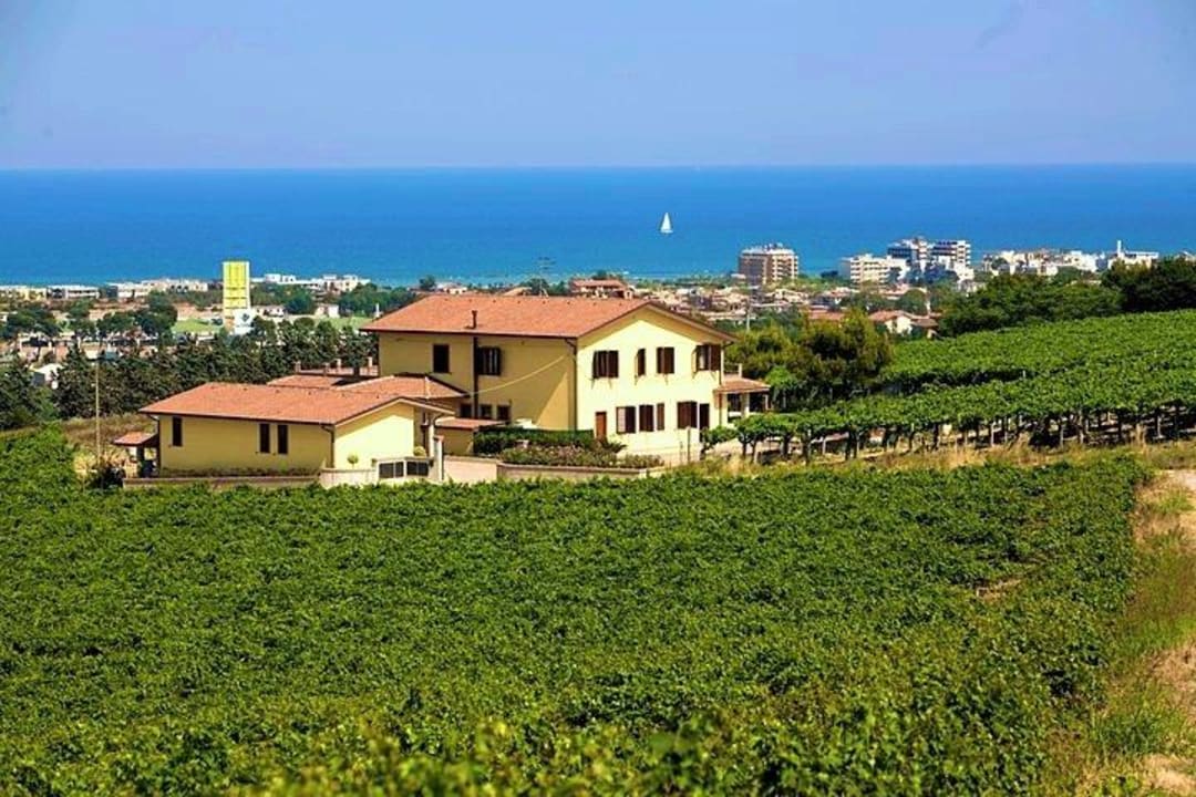 Il countryhouse Il Vigneto Country House