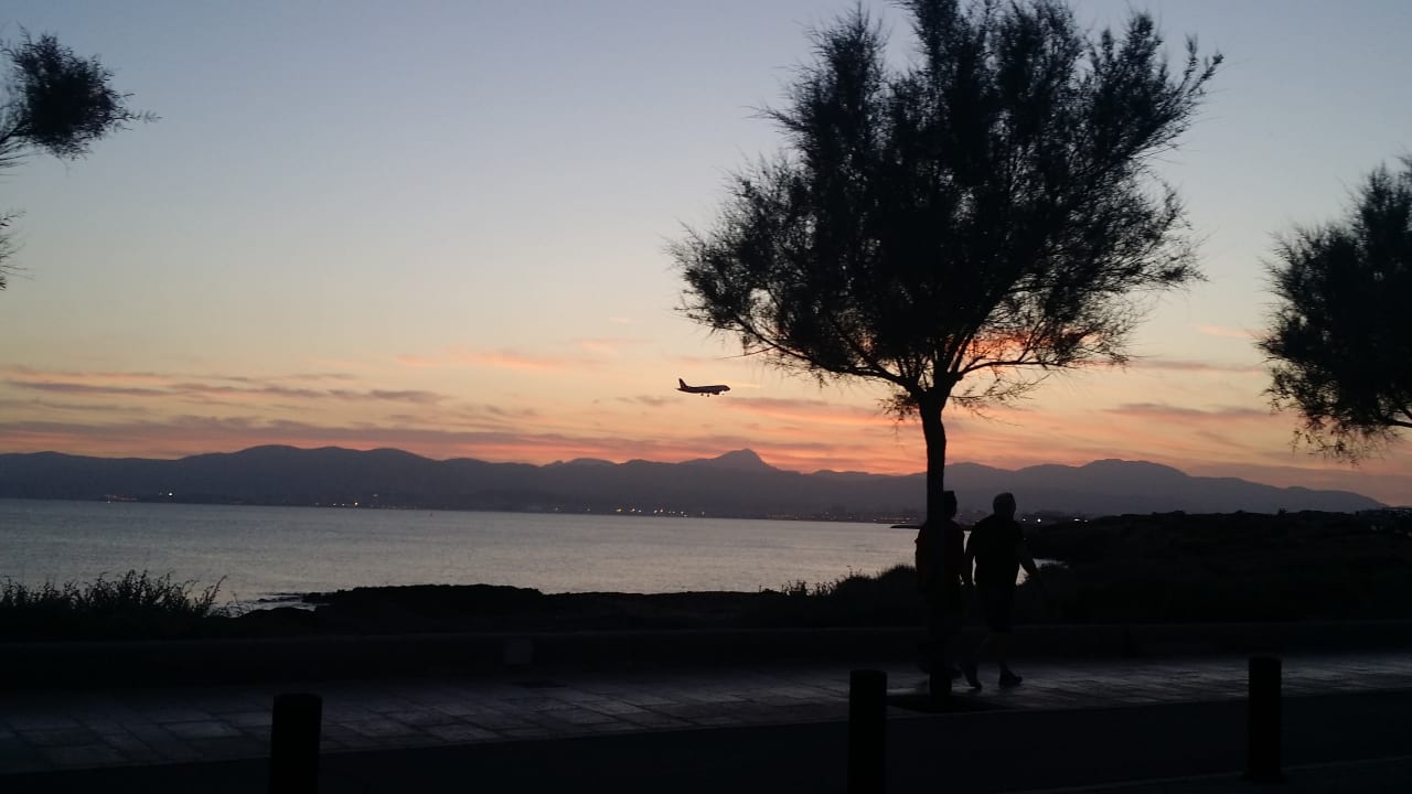 Ausblick AluaSoul Palma