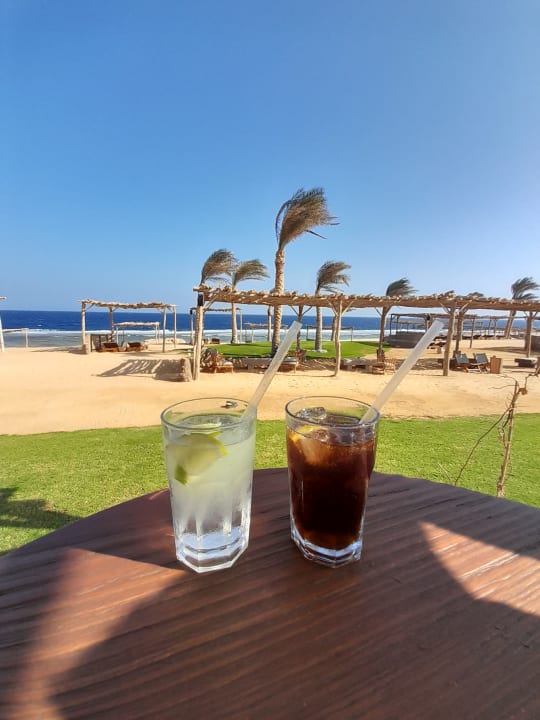 Strand Steigenberger Resort Alaya Marsa Alam - Red Sea - Adults only