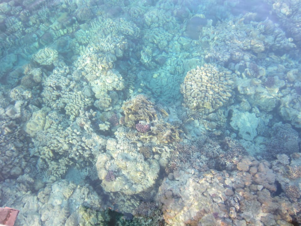 Vom Steg aus Grand Makadi