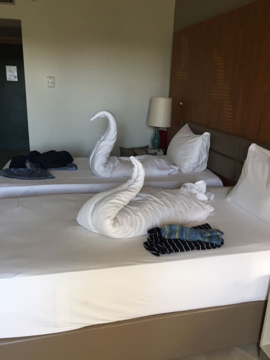 Zimmer PALOMA Perissia