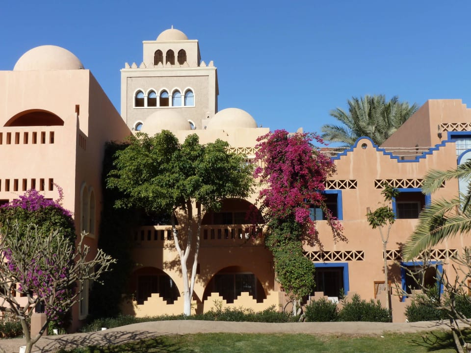 Blumenpracht im Grand Makadi, im Hintergrund Pala Grand Makadi