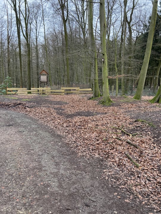 Gartenanlage Vila Vita Burghotel Dinklage