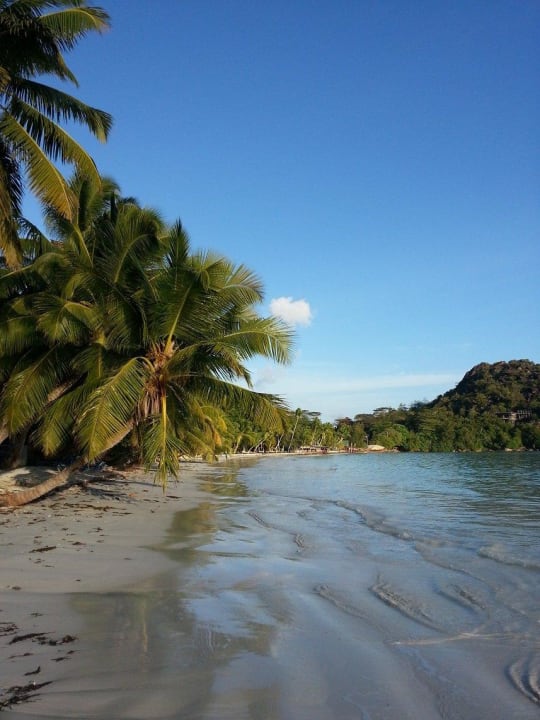 Morgenstimmung Paradise Sun