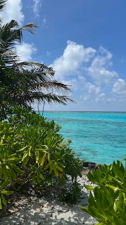 Strand Summer Island Maldives