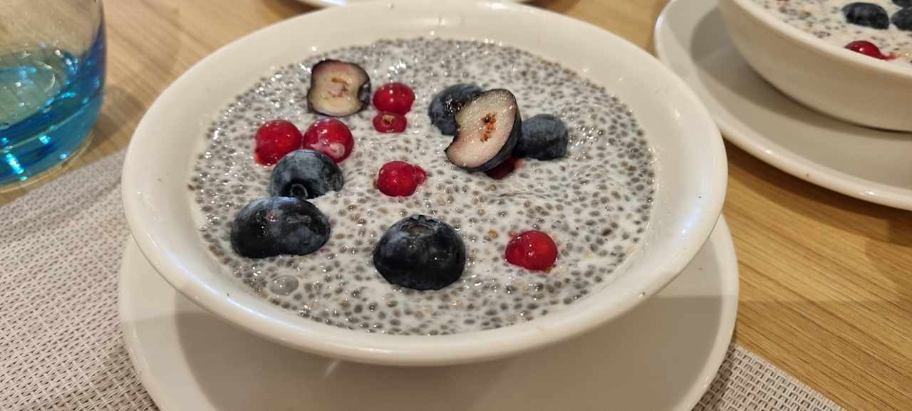 Gastro JAZ Elite Asteria