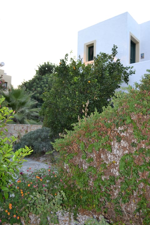 Ogród Sirios Village Hotel & Bungalows