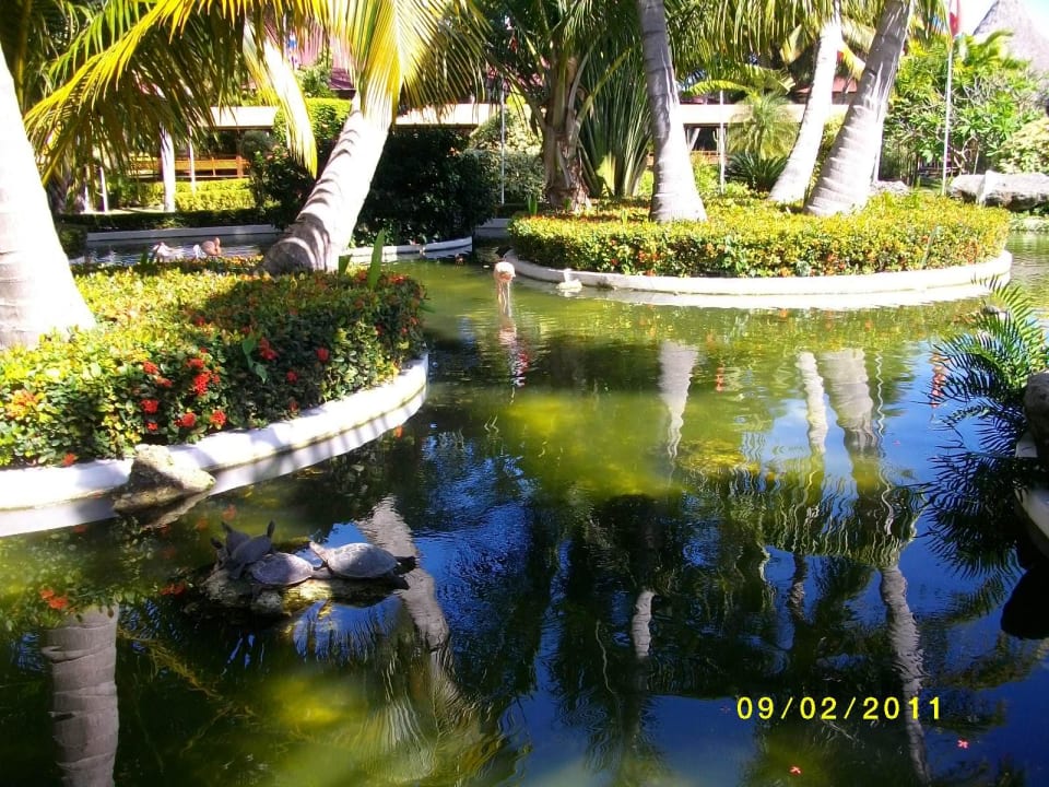 Eingang vom Hotel Grand Palladium Select Bávaro Resort & Spa